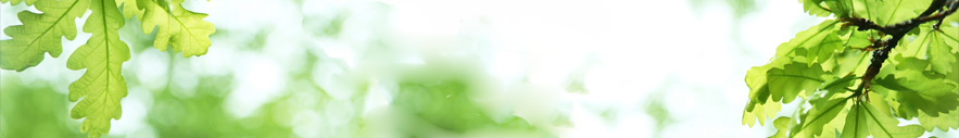 The Management Association of Illinois and Oak Consulting